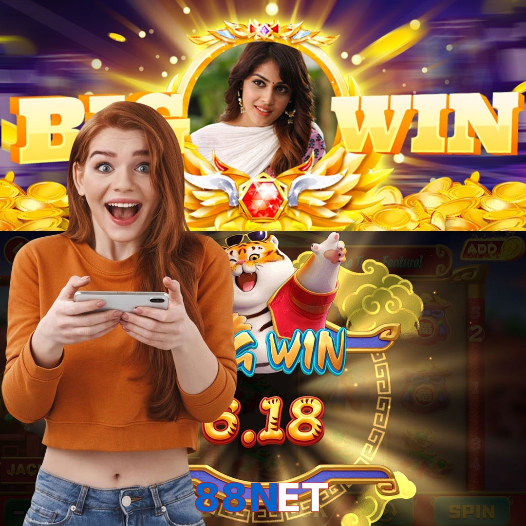 88NET