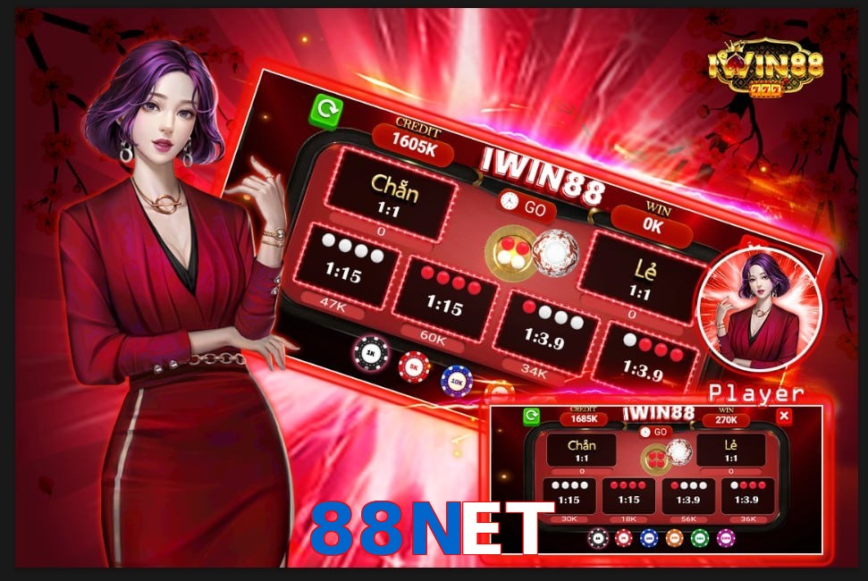 88NET